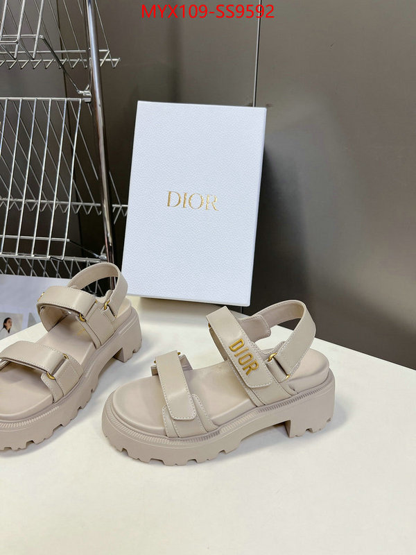 Women Shoes-Dior fashion designer ID: SS9592 $: 109USD