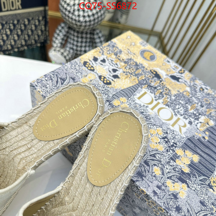 what is a counter quality ID: SS6872