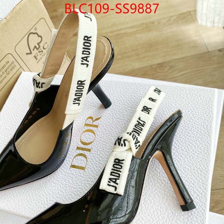 Women Shoes-Dior replica ID: SS9887 $: 109USD