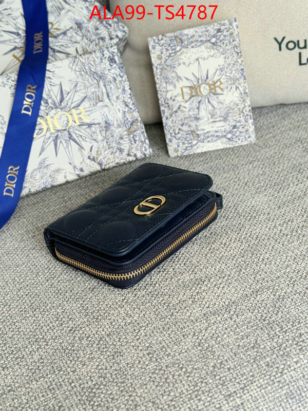 ID: TS4787 $: 99USD,