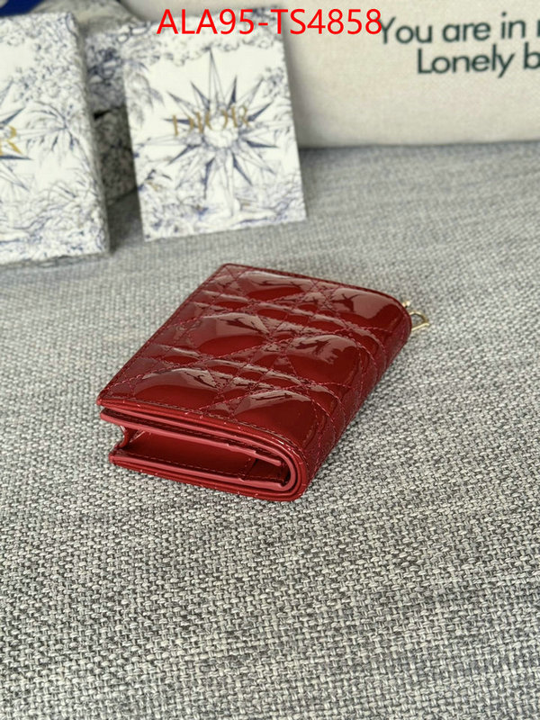 ID: TS4858 $: 95USD,