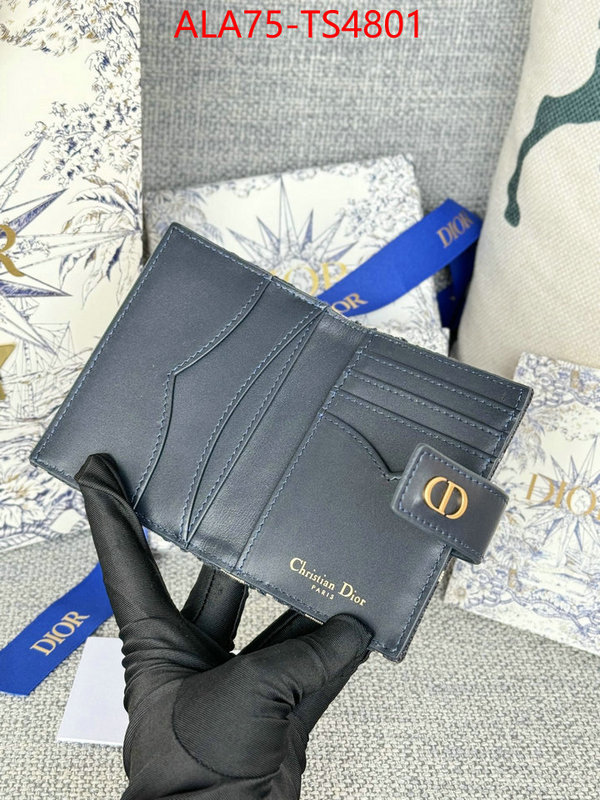 ID: TS4801 $: 75USD,