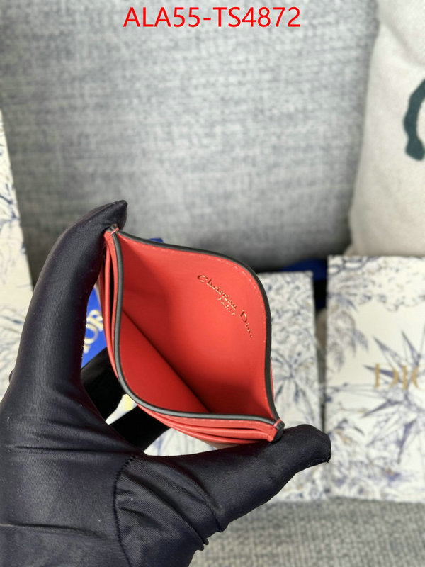 ID: TS4872 $: 55USD,