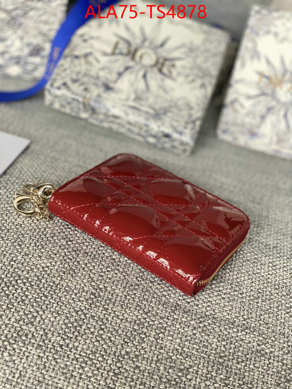 ID: TS4878 $: 75USD,