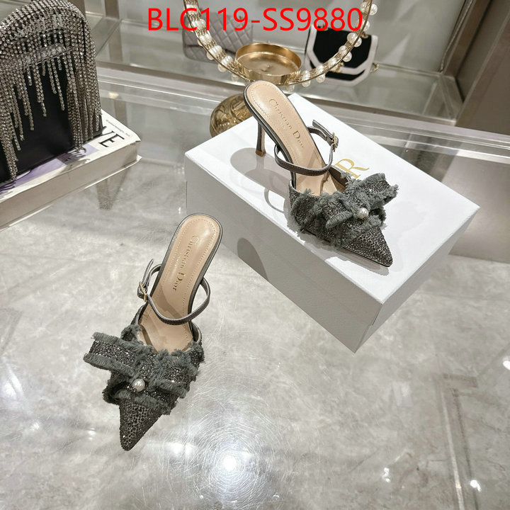 Women Shoes-Dior store ID: SS9880 $: 119USD