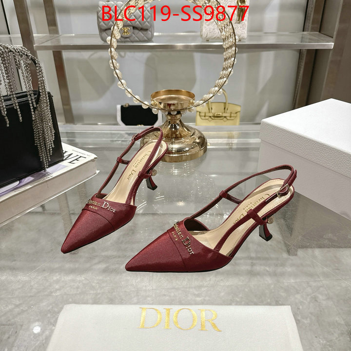 Women Shoes-Dior shop the best high authentic quality replica ID: SS9877 $: 119USD-shoes yupoo Women Shoes-Dior shop the best high authentic quality replica ID: SS9877 $: 119USD