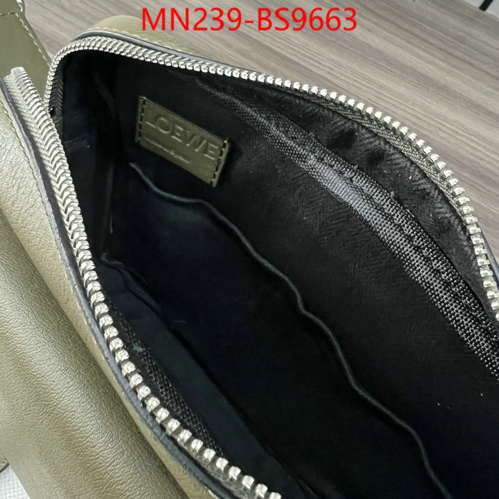 Loewe Bags(TOP)-Crossbody- luxury cheap ID: BS9663 $: 239USD,