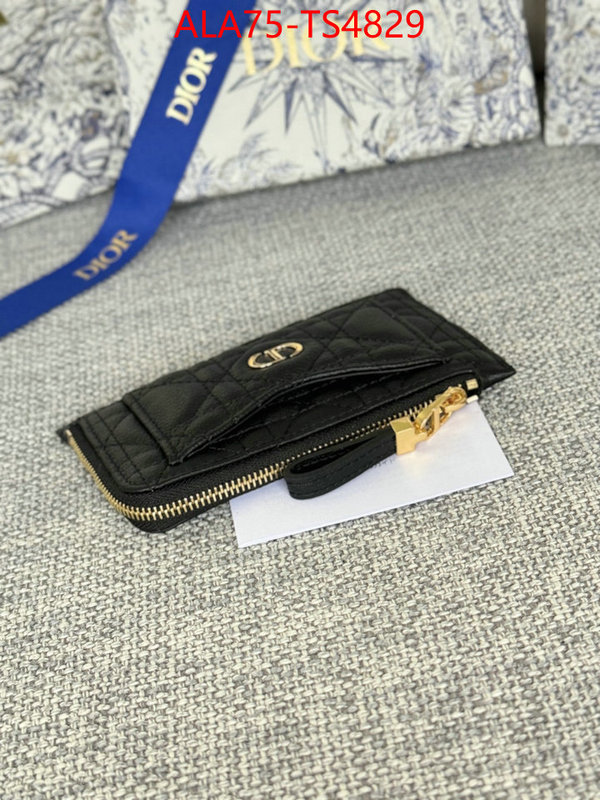ID: TS4829 $: 75USD,