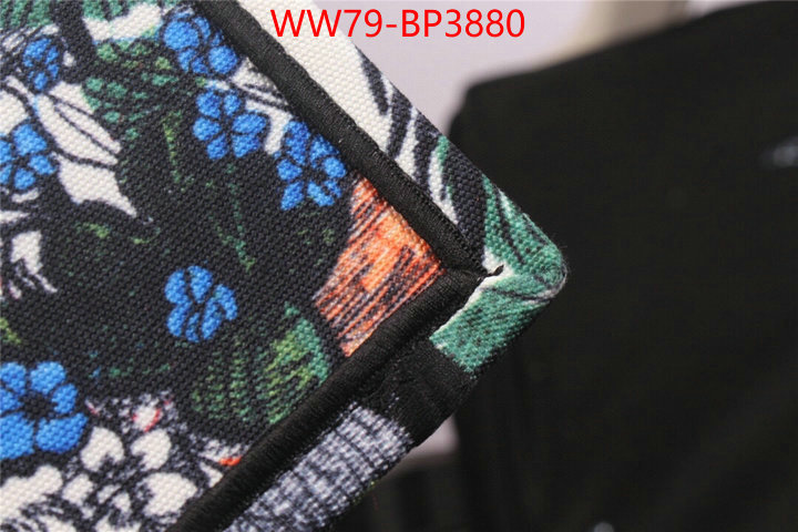 ID: BP3880 $: 79USD,
