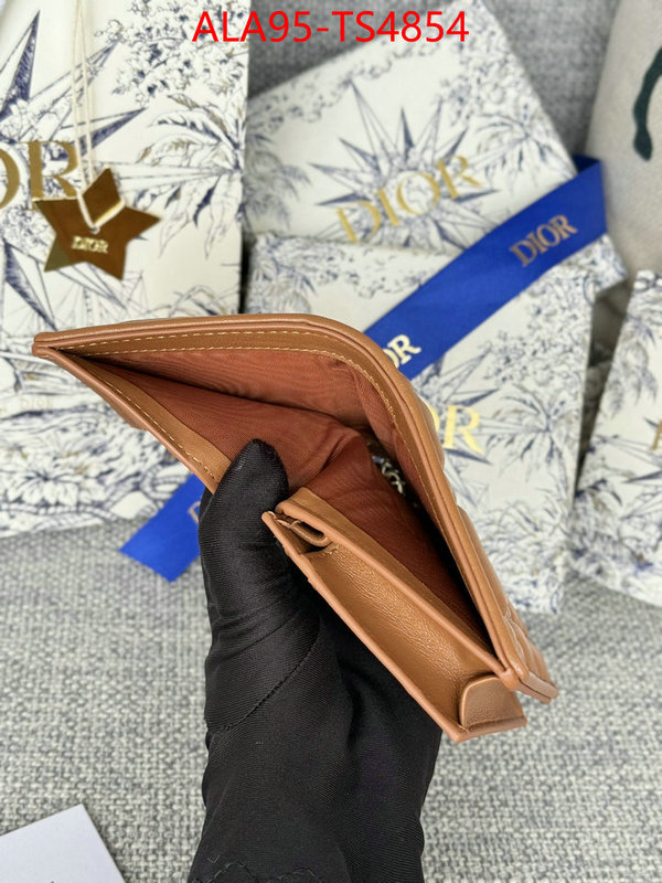 ID: TS4854 $: 95USD,