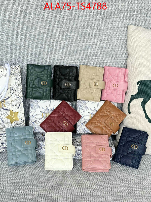 ID: TS4788 $: 75USD,