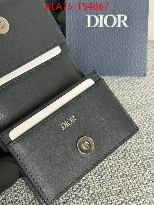 ID: TS4867 $: 75USD,