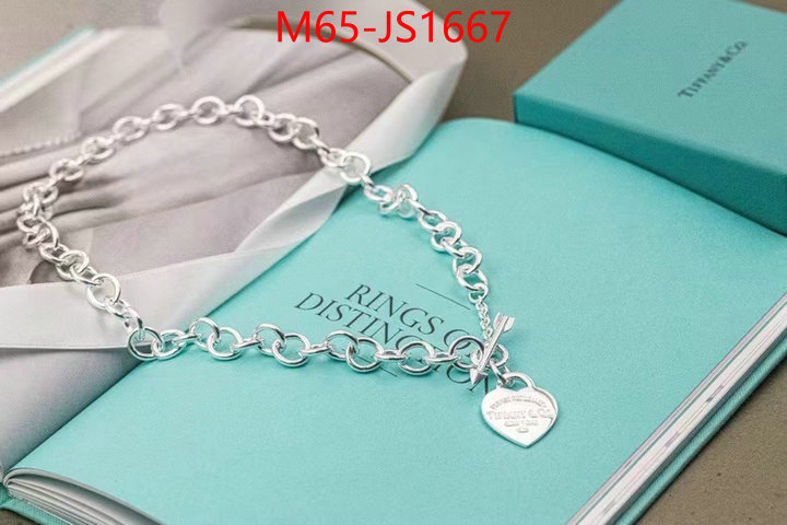 ID: JS1667
