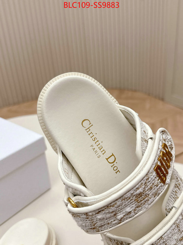 Women Shoes-Dior for sale online ID: SS9883 $: 109USD