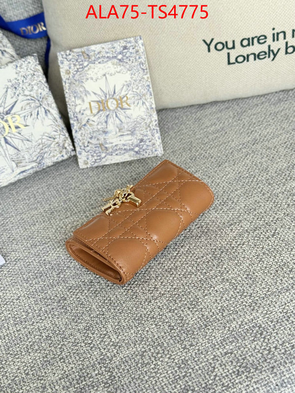 ID: TS4775 $: 75USD,