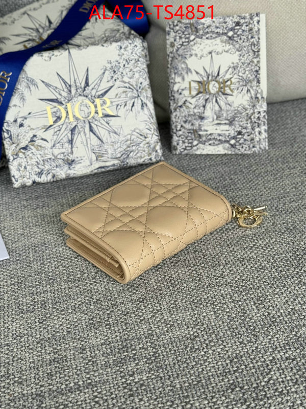 ID: TS4851 $: 75USD,