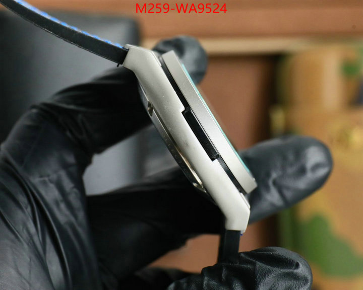 ID: WA9524