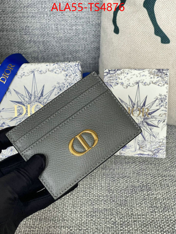 ID: TS4876 $: 55USD,