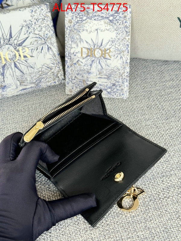 ID: TS4775 $: 75USD,