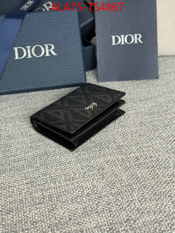 ID: TS4867 $: 75USD,