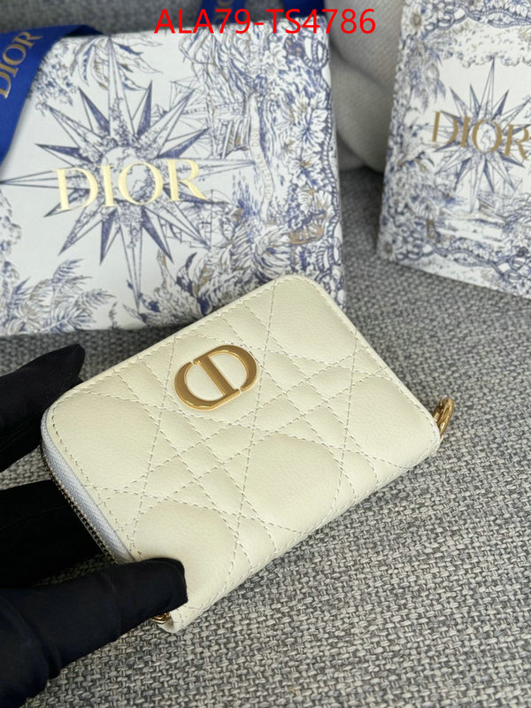 ID: TS4786 $: 79USD,