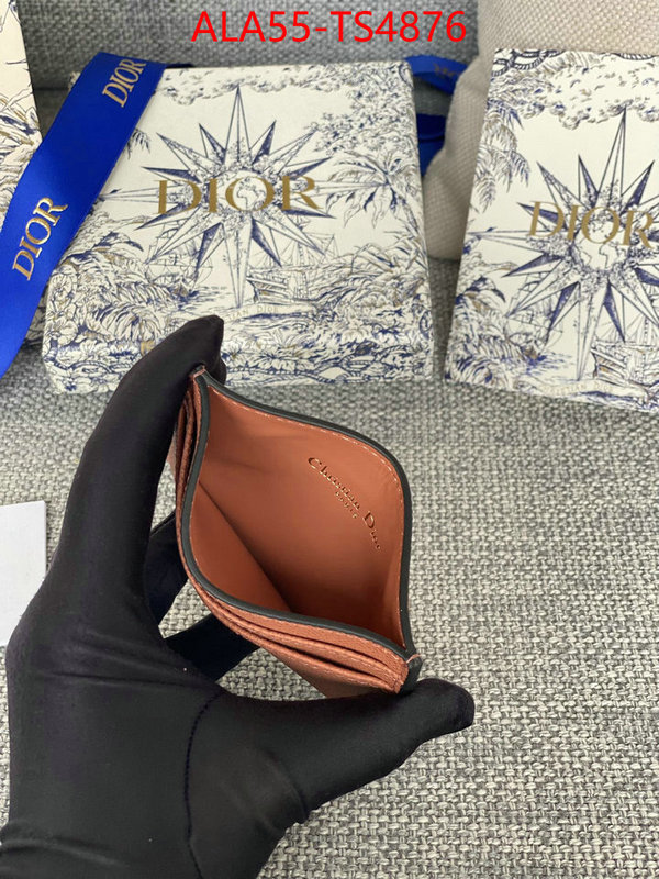 ID: TS4876 $: 55USD,