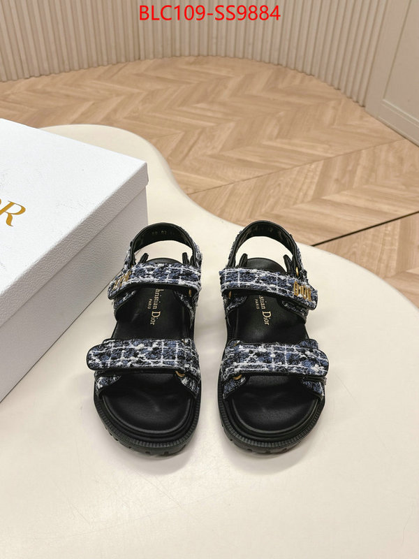 Women Shoes-Dior wholesale 2024 replica ID: SS9884 $: 109USD