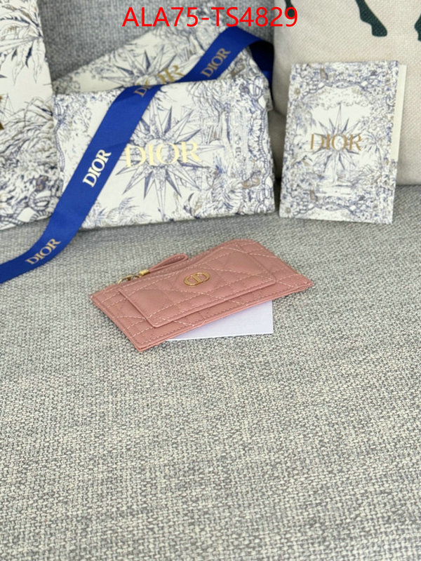 ID: TS4829 $: 75USD,