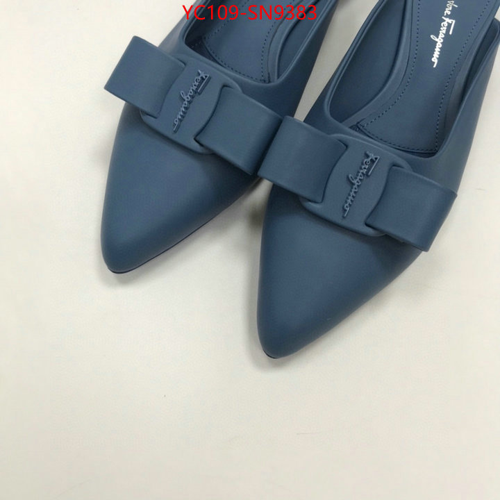 1:1 clone ID: SN9383