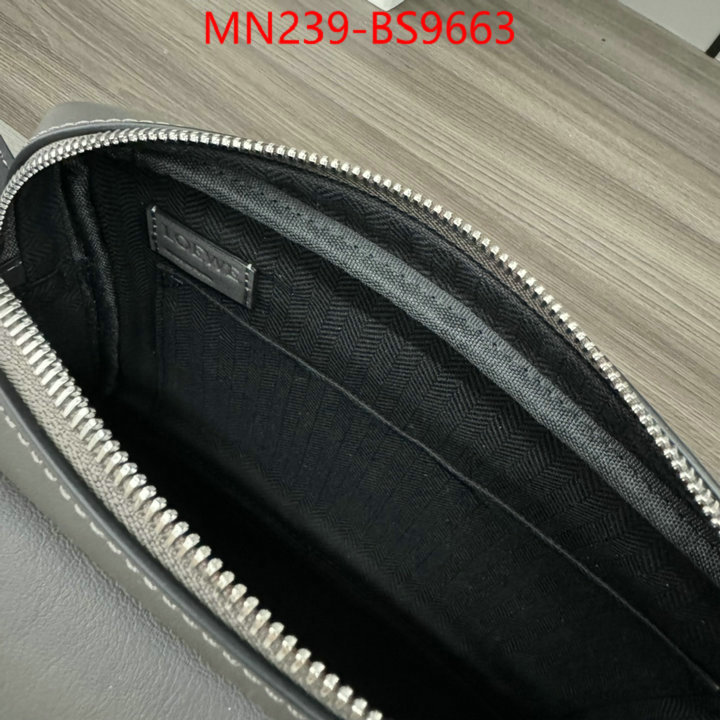 Loewe Bags(TOP)-Crossbody- luxury cheap ID: BS9663 $: 239USD,