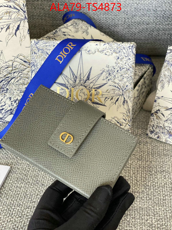 ID: TS4873 $: 79USD,