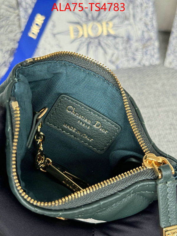 ID: TS4783 $: 75USD,