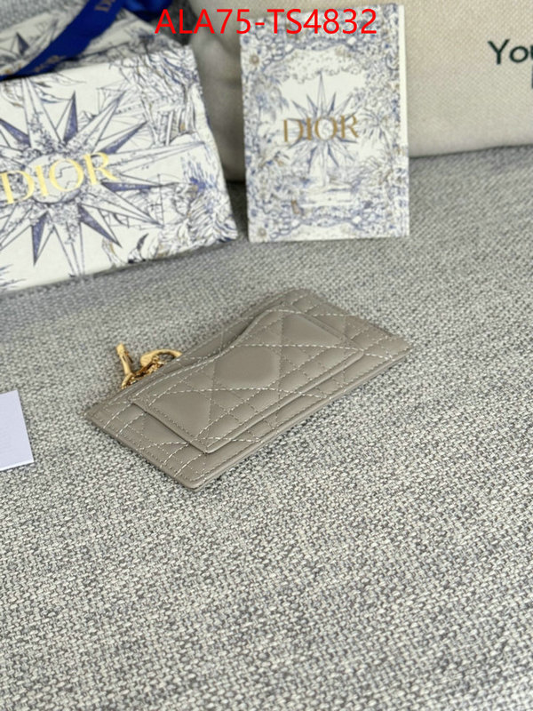 ID: TS4832 $: 75USD,