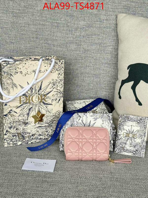 ID: TS4871 $: 99USD,
