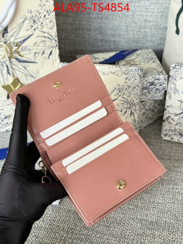 ID: TS4854 $: 95USD,