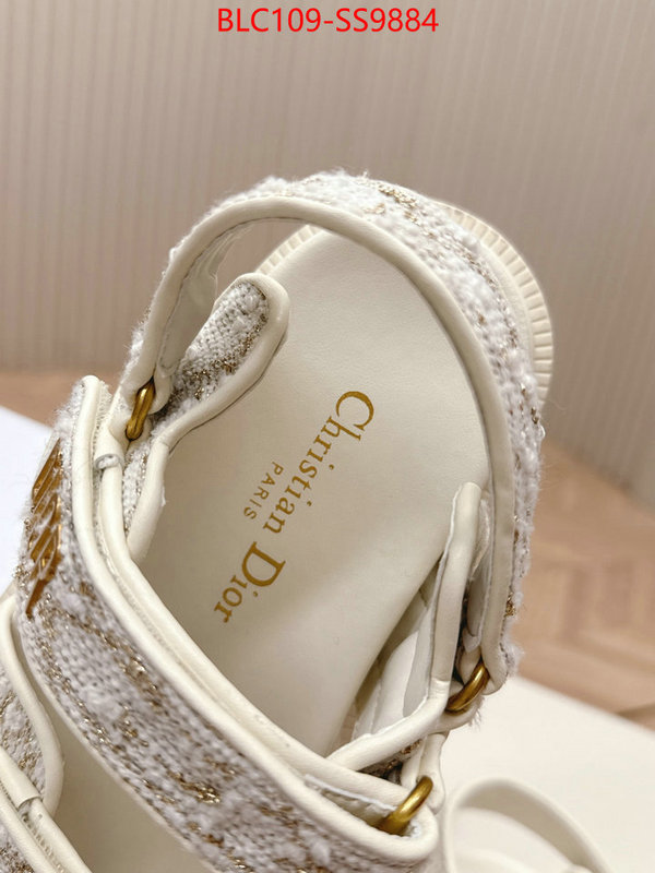 Women Shoes-Dior wholesale 2024 replica ID: SS9884 $: 109USD