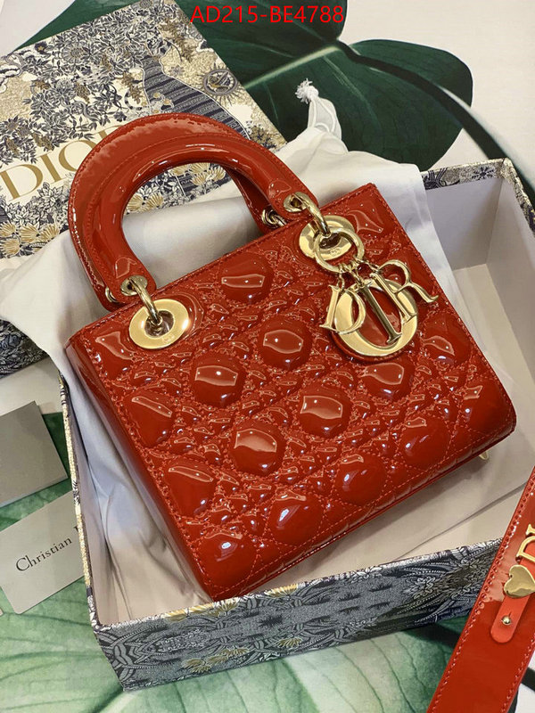 ID: BE4788 $: 215USD,