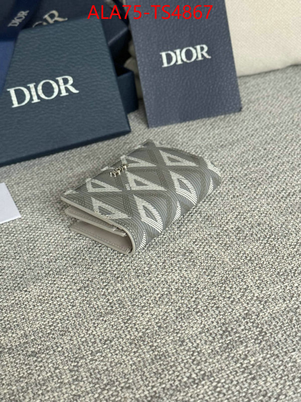 ID: TS4867 $: 75USD,