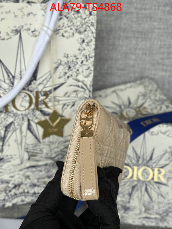 ID: TS4868 $: 79USD,