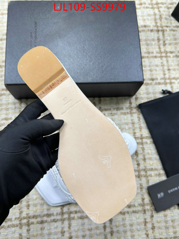 Women Shoes-Alexander Wang we curate the best ID: SS9979 $: 109USD