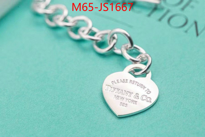 ID: JS1667