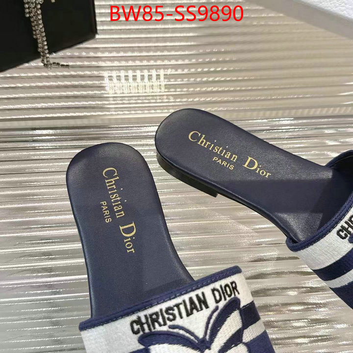 Women Shoes-Dior sell online ID: SS9890 $: 85USD
