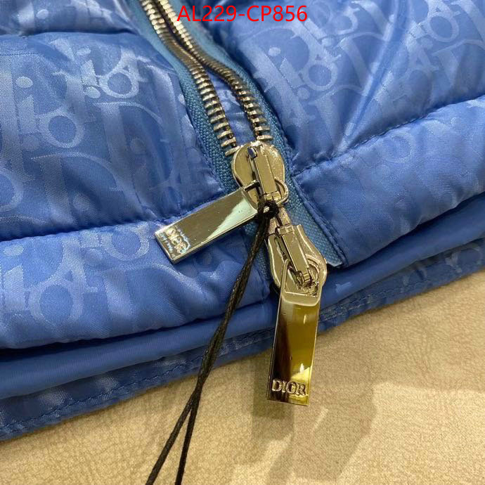 aaaaa replica ID: CP856