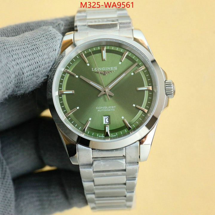 ID: WA9561