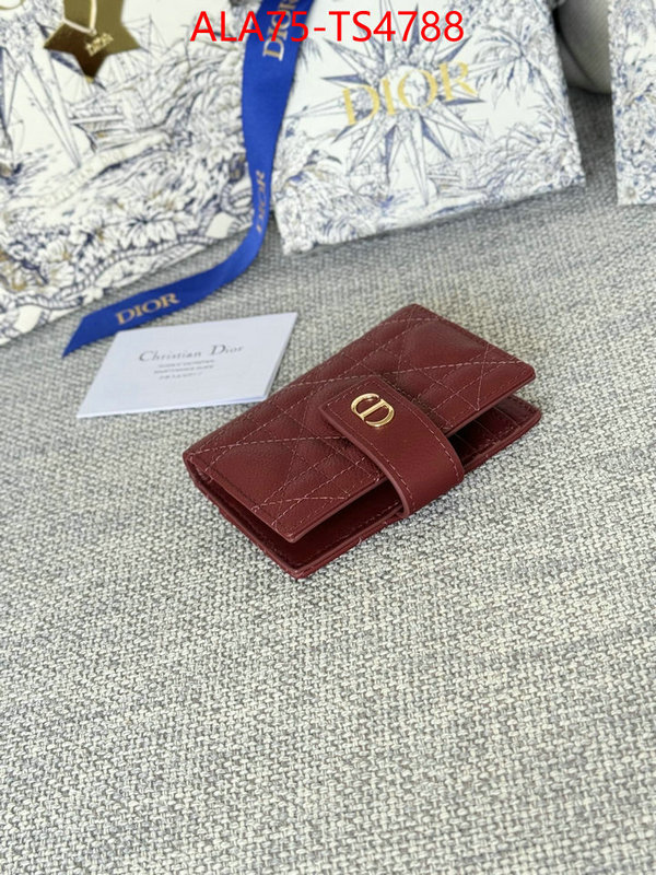 ID: TS4788 $: 75USD,