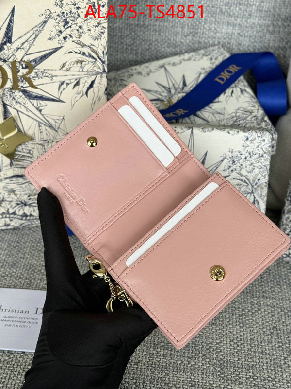 ID: TS4851 $: 75USD,