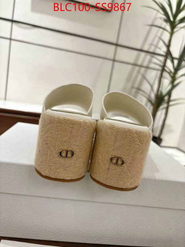 Women Shoes-Dior the top ultimate knockoff ID: SS9867 $: 100USD