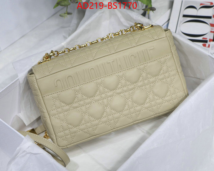 ID: BS1770 $: 219USD,