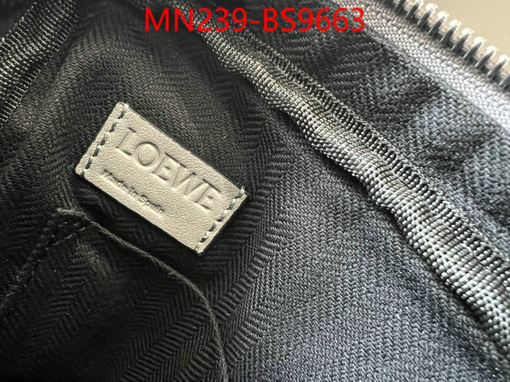Loewe Bags(TOP)-Crossbody- luxury cheap ID: BS9663 $: 239USD,