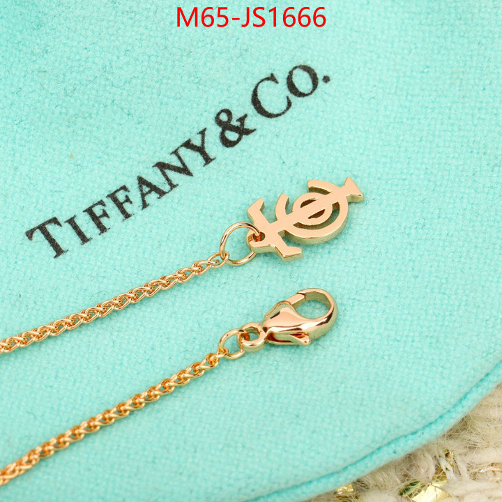ID: JS1666